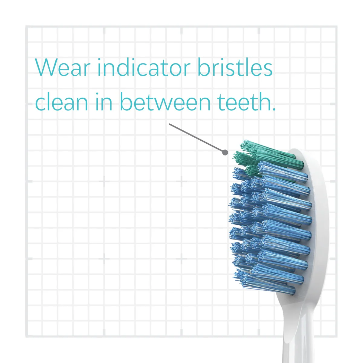 Whitening Toothbrush Heads - Image 13