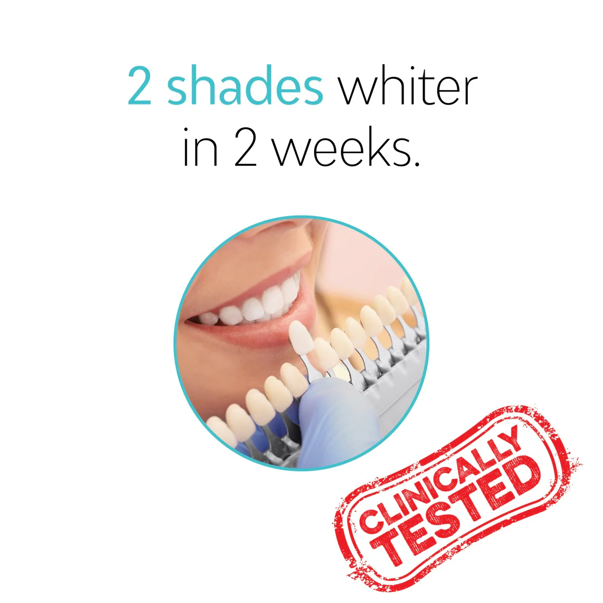 Whitening Toothbrush Heads - Image 4
