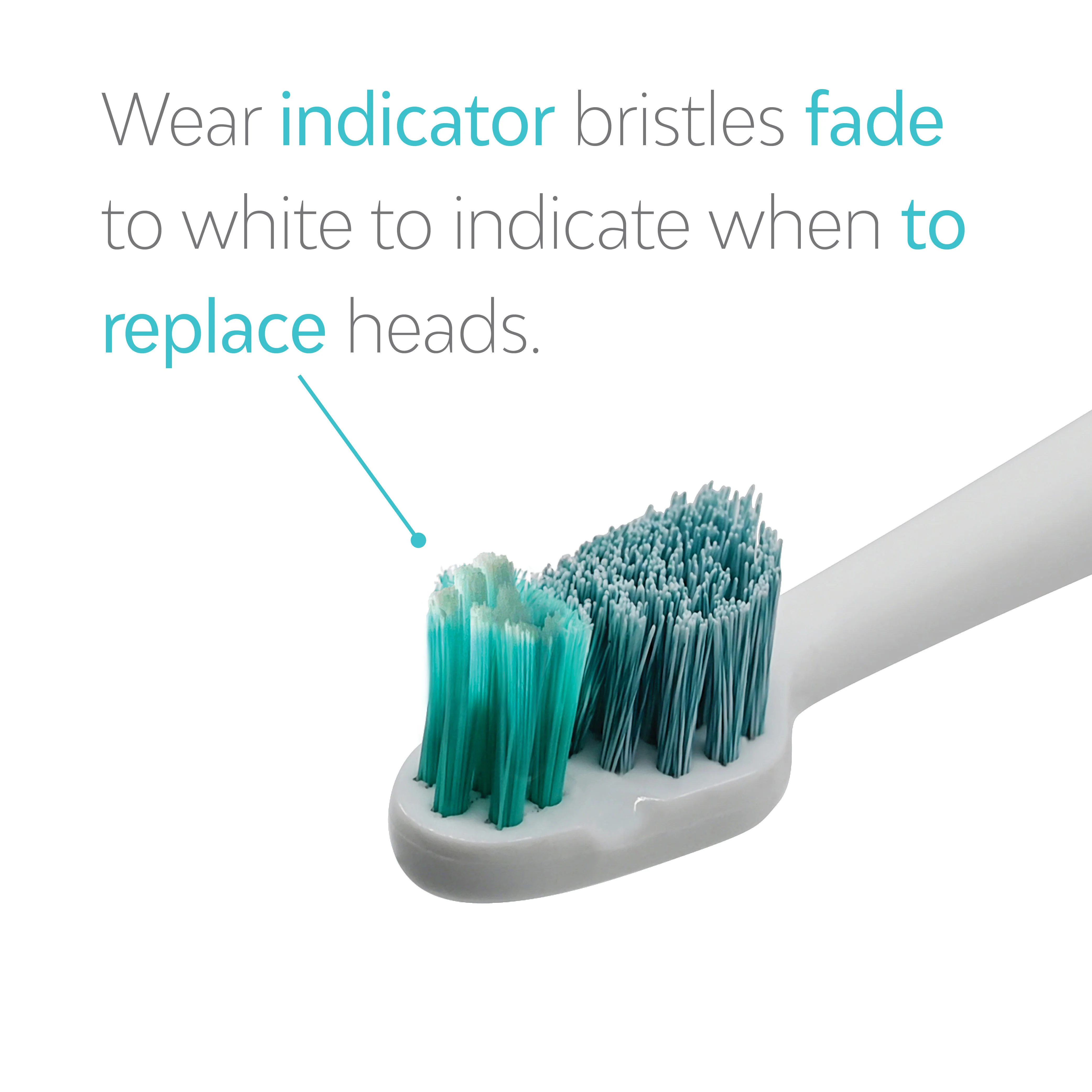 Toothbrush Ortho Heads (2 Pack) - Image 6